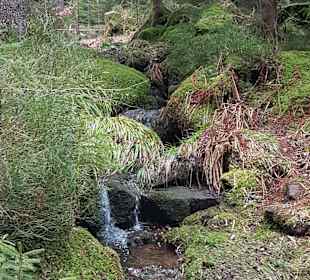 Wandern Freudenstadt