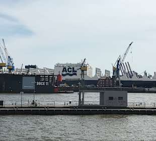 Fischmarkt Hamburg-Altona