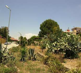 Gelände der Antik-Bar