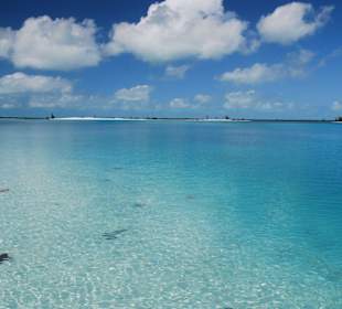 Noch mehr Seesternchen