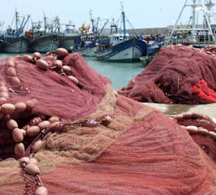 Port rybacki w essaouira