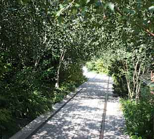 High Line Park