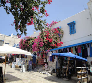 Ausflug Sidi Bou Said