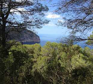 Ausblick Cala d'Albarca