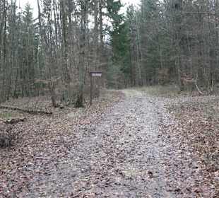 Brühl-Brünnele Ehestetten