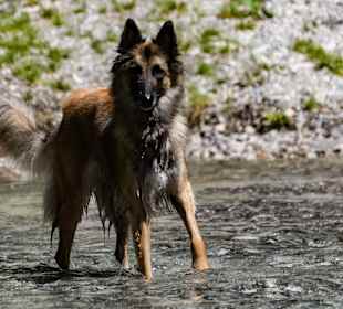 Wandern Ried im Zillertal