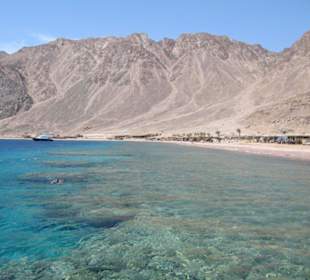 Schnorcheln am Hausriff Hotel Happy Life Village