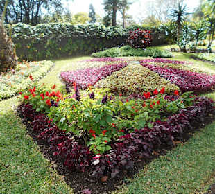Parque de Santa Catarina