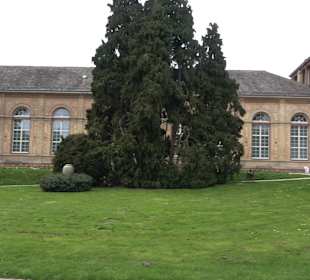 Orangerie