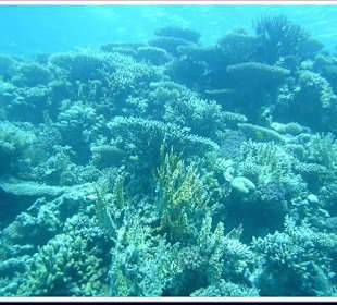 Tauchgang El Fanadir