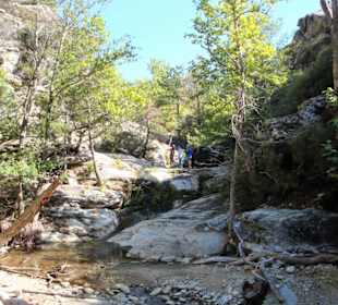 Am Weg zum Wasserfall