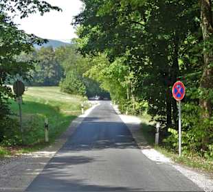 Der Weg zum Viktor-von-Scheffel-Blick