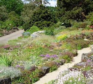 Spaziergang durch den Botanischen Garten Bremen