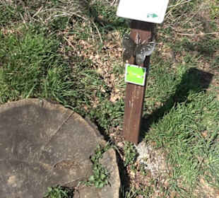 Premiumwanderweg "hochgeblickt"