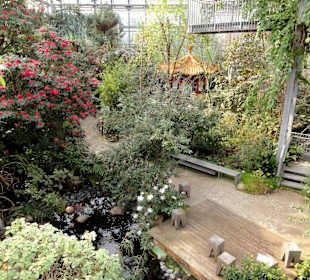 Impressionen aus den Gewächshäusern