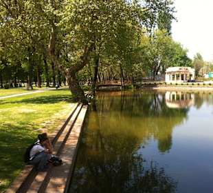 Vicinity of the Hotel Residence Inn Skopje 