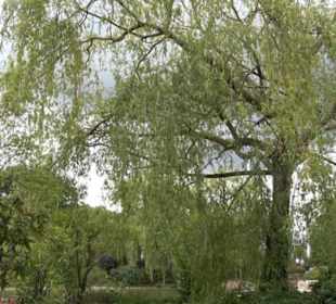 Erlebnispark Tripsdrill