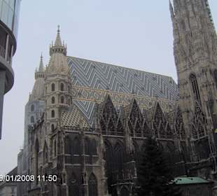 Der Stephansdom