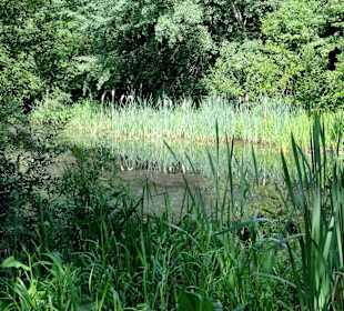 Unterwegs auf dem Huntepadd