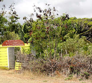 Zugang zu Mimi´s Eco Farm