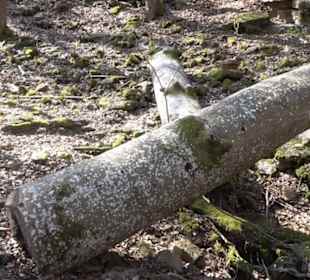 Geologischer Lehrpfad Kirnbachtal