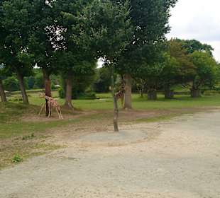 Safari Dvůr Králové nad Labem