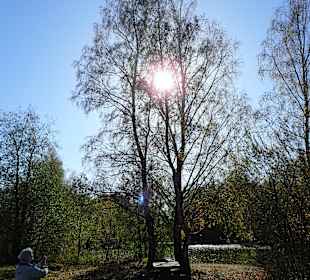 Naturpark Blockheide