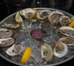 Austern