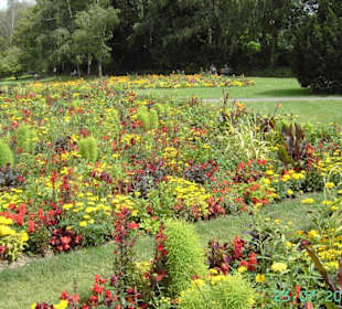 Blumenmeer