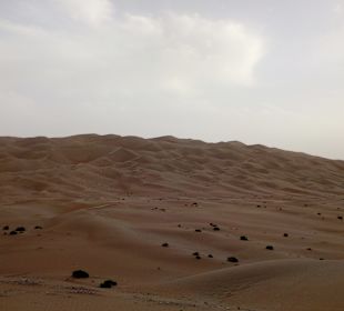 Wüstentour Rub Al Khali