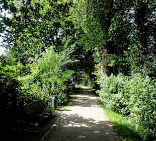 Spaziergang über den Stadtwall Wildeshausen