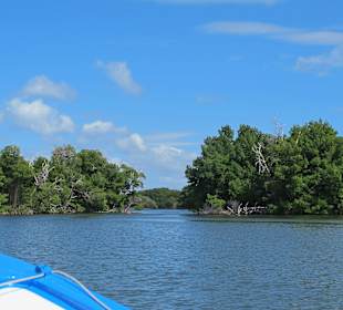 4x4 Safari Ausflug, Nationalpark
