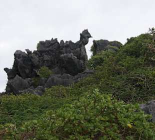 Ungewöhnliches Gebilde auf der kleinen Insel