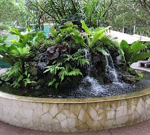 Schön angelegter Garten