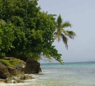 Ausflug zur "Bacardi-Insel"