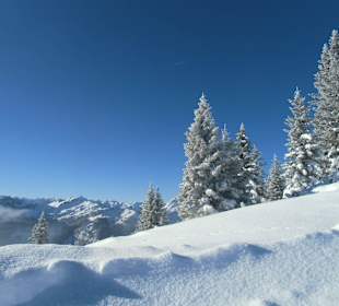 Aufstieg zum Gamskopf