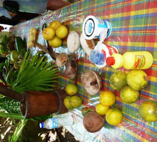 Sehen, fühlen & riechen