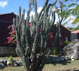 Auf dem Weg nach Santiago