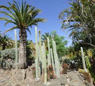 Kaktuspark