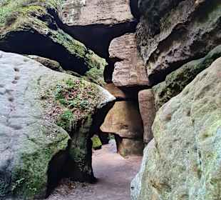 Wandern Bad Schandau