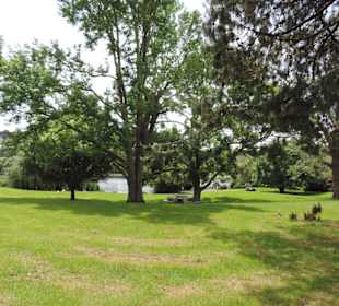 Im Western Springs Park