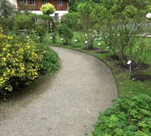 Casino auf der Roseninsel