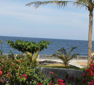 Blick in Garten und auf das Meer
