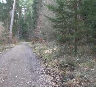 Rundwanderung durch den Rauhen Rammert Hemmendorf