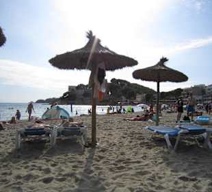 Reichlich Platz für alle