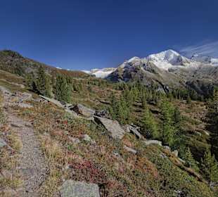 Hochgall - Rein in Taufers