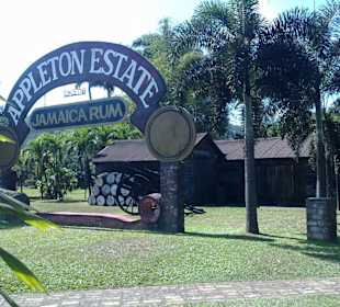 Appelton Estate Rum Tour