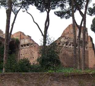 Palatino, Kultur unter anderem