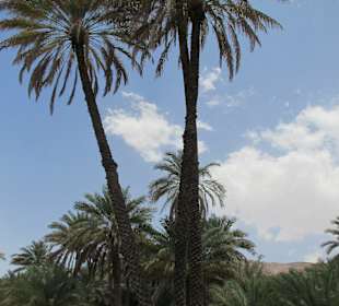 Wadi Bani Khalid