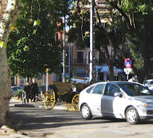 La Plaza de la Reina